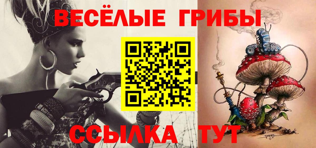 Галлюциногенные грибы Богородицк